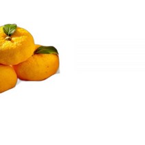 ANSWER NINETEEN 유자 바이오엠 브라이트 올인원 톤업크림 150ml, single type