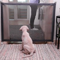 강아지 현관문 안전망 바리게이트 애완견문 개칸막이