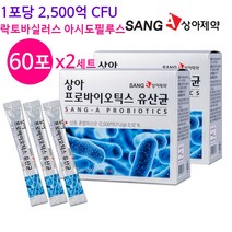 루테리 유산균 여성 유산균 락토바실러스 애시도필러스 리스펙타 프로바이오틱스 프리바이오틱스 분말 가루 모유유래 플란타룸 가세리 혼합 생존 장내유익균, 2박스, 60포