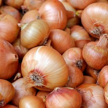 나알맛 무안 양파 대용량 3kg 5kg 10kg 20kg, 중대(혼합) 5kg