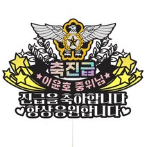 비비드레인 170-공군 진급 승진 파티 선물 데코픽 케이크토퍼