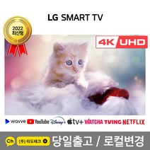 LG 65인치 4K 스마트 UHD TV 65UN6950 / 65UQ7070 초고화질, 2. 수도권역 벽걸이 +상하브라켓