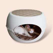 일상 HDPE재질 조립형 반려동물 하우스 강아지집추천 분리불안해소 펜스 안정감 동굴 훈련용 마당집, 크림