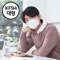 KF94 늘푸른마스크 50매 100매 무형광마스크 황사마스크 중형 대형 블랙 KF-94 써멀본드마스크 써멀본드KF94 써멀본드KF-94 써멀본드마스크, 화이트