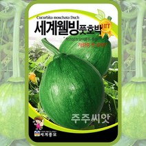 조선호박종자 풋호박씨앗 30립 둥근호박 채소씨, 1개