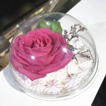수납 박스상자 케이크 컵케익 돔 홀더 머핀 디저트 컨테이너 월병 캐리어 무스 포장 투명 베이커리 용기, 01 350ml Style