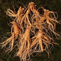 수삼 난발삼 대편 (8~11뿌리내외 500g), 선택안함