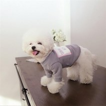 아트박스/피타 강아지 기모 맨투맨 Amused mtm C1, M