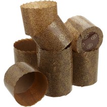 Honey-Can-Do 대형 파네토네 종이 몰드 6팩 높이 12.1cm(4.8인치) x 너비 17.1cm(6.75인치), 02 Mini