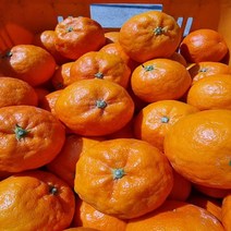 위미리감귤농장 제주 고당도 설국향 수라향 감귤 선물용 가정용, 설국향감귤5kg(35전후)가정용, 1개