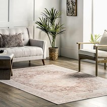 NuLOOM Rosa 세탁기 세탁 가능한 디스트레스드 빈티지 메달리온 액센트 러그 61 x 91.4cm(2 x 3피트) 라이트 핑크, Light Pink