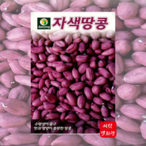 자색땅콩 씨앗/ 땅콩씨 종자 20g