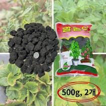 원예 고영양 비료효과 식물영양 웃거름 알송이 유박 500g 2개, 본상품선택