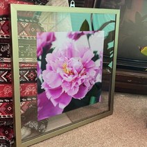 바보사랑 투명액자38CmX38Cm 부를부르는풍수작약꽃.꾸밈, 블랙