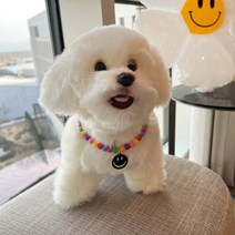 더군자 강아지 고양이 핸드메이드 비비드 스마일 베어 이니셜 목걸이, A.스마일, 15-25cm