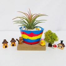 어린이집 유치원 원예체험 샌드아트 이오난사 DIY 화분 만들기 수업 복지회관 Kit, 클레이