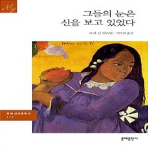 문예출판사 새책-스테이책터 [그들의 눈은 신을 보고 있었다] -문예출판사 세계문학 (문예 세계문학선) 114-문예출판사-조라 닐 허, 그들의 눈은 신을 보고 있었다
