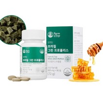 그린프로폴리스 면역력높이는 영양제 2통, 브라질그린프로폴리스90정 2통_2개월분