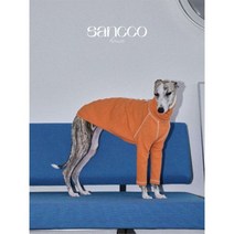 소형견 대형견 옷 강아지 애완견 반려동물 애완용품 중형견 Huibit 작은 그레이하운드 애완동물 셔츠 가을 및 겨울, 2, orange