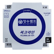 30와트 환형램프 10개박스 주차장형광등 주광색 원형, 1, 본상품선택