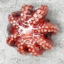 자연산 돌문어 활 문어 1kg 2kg 문어 숙회 자숙 슬라이스 제수용 제사용, 자숙문어 1kg(1~3마리)