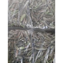 노지 토종 냉동 생 와송잎 3kg 판매합니다