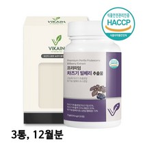 눈엔차즈기영양제 차즈기추출물 분말 정 루테올린 차즈기잎 차조기 차주기 유기농빌베리 할라 식야처 haccp, 120정, 3개