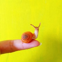 [9월픽] ~ 1Pcs/달팽이/인형 집//미니어처/사랑스러운 귀여운/요정 정원 그놈/이끼 테라리움 장식/공예품/분재/입상/모델/, 01 1 pcs