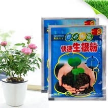 정원 원예 복합 비료 발근 식물 속발근제 개화 절단 생존율 향상 및 발근 묘목 공급
