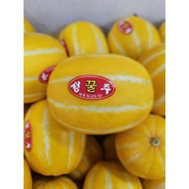 달콤한 참외 꿀참외 10kg 5kg, 참외5kg