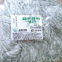 건강에 좋은 클로렐라생면1kg, 1kg, 1개