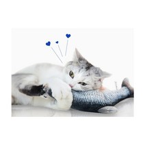 움직이는 생선 춤추는 물고기 장난감, 동가리, 동가리