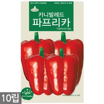 할라피뇨 30립 - 고추씨앗 씨앗 씨 고추씨 멕시코고추 매운고추씨, 04_청농_레드파프리카(20립)