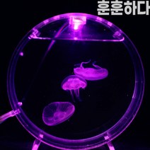 해파리어항 미니어항세트 일체형어항 물멍
