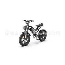 가성비전기자전거 20인치 전기 자전거 유럽과 미국 해외 창고 dropshipping 산악 750W, [01] 20인치, [01] 검은색