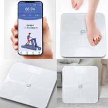 BFA-S7 인바디 CAS 체중계 전용어플 체지방 측정기 4전극 스마트 정확한 몸무게 저울 디지털 가정용 추천, BFA-S7 인바디 CAS 체중계 전용
