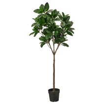 이케아 150cm 초대형 인테리어화분 나무조화 화분지름 21~24cm 집안 카페, 목련 104.933.65