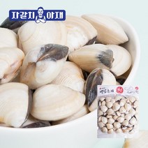 자갈치아재 백합조개 1kg, 1개