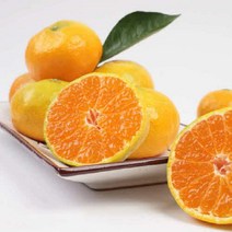 제주밀감 서귀포 타이백감귤 5kg 10kg, 하우스감귤, 3KG 소과(2S - S)
