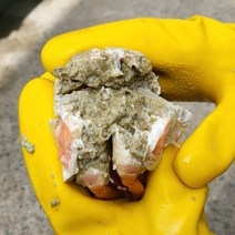 포항 구룡포 홍게 100% 선주 산지 직송 품질과 수율 확실 보장, 육수용홍게 6-8마리 2kg, 1개