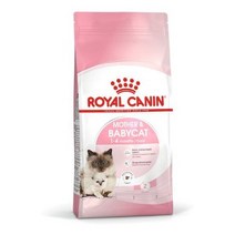 로얄캐닌 마더 앤 베이비 캣 2kg, 본상품선택, 1개