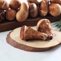 재배 참 송이 버섯 솔향 차, 참 송이 솔향차 60g1봉지, 60g, 1개