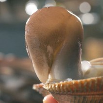 [명품] 천수만 여수 자이언트 명품 손질새조개 200g /500g, 02.200g(2팩-총400g), 2개