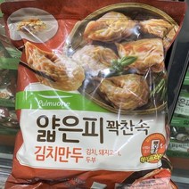 풀무원 얇은피김치만두 1320g, 아이스팩 포장