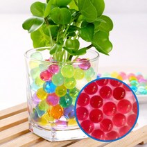 (주)아트인 커지는 개구리알(컬러소일), 500g, 빨강, 1개