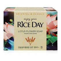 라이스데이 비누 100g 청, CDSS 1, CDSS 본상품선택