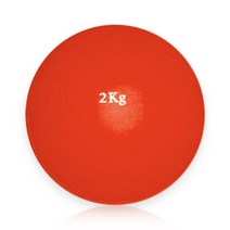 DWR 포환 연습용 실내용 2kg 훈련용 투포환