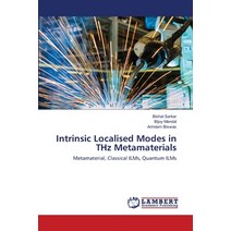 Intrinsic Localised Modes in THz Metamaterials Paperback, LAP Lambert Academic Publishing