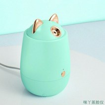 페이셜 나노 미스트 스프레이 페이스 스티머 홈케어 피부관리 보습 도구, 녹색