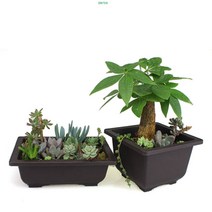사각 분재 화분 분재분 플라스틱 화분 분갈이 A